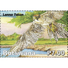 Lanner Falcon - South Africa / Botswana 2019 - 7