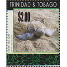 Leatherback Sea-Turtle (Dermochelys coriacea) - Caribbean / Trinidad and Tobago 2019 - 2