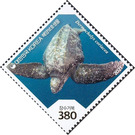 Leatherback Sea Turtle (Dermochelys coriacea) - South Korea 2021 - 380