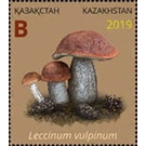 Leccinum vulpinum - Kazakhstan 2019