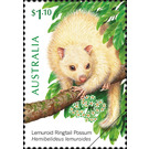 Lemuroid Ringtail Possum (Hemibelideus lemuroides) - Australia 2020 - 1.10