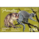 Lemurs - Caribbean / Cuba 2020