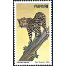 Leopard (Panthera pardus) - South Africa / Namibia / South-West Africa 1989 - 1