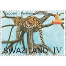 Leopard (Panthera pardus) - South Africa / Swaziland 2017