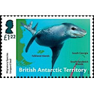 Leopard Seal (Hydrurga leptonyx) - British Antarctic Territory 2018 - 1.22
