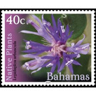 Lepidaploa arbuscula - Caribbean / Bahamas 2019 - 40