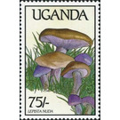 Lepista nuda - East Africa / Uganda 1989 - 75