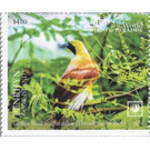 Lesser Bird of Paradise (Paradisaea minor) - Polynesia / Penrhyn 2020