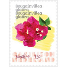 Lesser Bougainvillea (Bougainvillea glabra) - Caribbean / Bonaire 2020 - 75