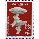 Leucoagaricus leucothites - East Africa / Somalia 2002