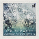 Light-blue Ice Flower - Australian Antarctic Territory 2016 - 1