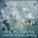 Light-blue Ice Flower Embossed With Foil Application - Australian Antarctic Territory 2016 - 1