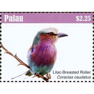 Lilac-breasted Roller    Coracias caudatus - Micronesia / Palau 2018 - 2.25
