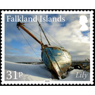 Lily - South America / Falkland Islands 2019 - 31