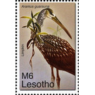 Limpkin (Aramus guarauna) - South Africa / Lesotho 2007 - 6