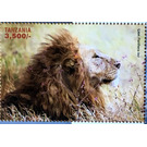 Lion - East Africa / Tanzania 2018