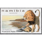 Lion (Panthera leo) - South Africa / Namibia 2019