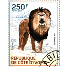 Lion (Panthera leo) - West Africa / Ivory Coast 2014 - 250