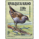 Little Crake (Porzana parva) - East Africa / Burundi 2016