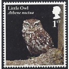 Little Owl - Athene noctua - United Kingdom 2018