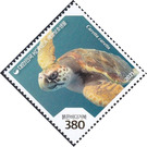 Loggerhead Sea Turtle (Caretta caretta) - South Korea 2021 - 380