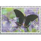Luzon Peacock Swallowtail (Papilio chikae) - Polynesia / Penrhyn 2020 - 1