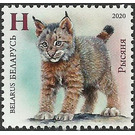 Lynx Kitten - Belarus 2020
