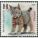 Lynx Kitten - Belarus 2020