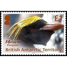 Macaroni Penguin - British Antarctic Territory 2018 - 1