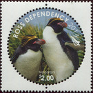 Macaroni Penguin (Eudyptes chrysolophus) - Ross Dependency 2014 - 2