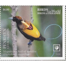 Magnificent Bird of Paradise (Cicinnurus magnificus) - Polynesia / Penrhyn 2020