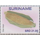 Maize (Zea mays) - South America / Suriname 2020 - 21