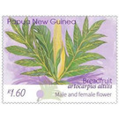 Male & Female Breadfruit Flower - Melanesia / Papua and New Guinea / Papua New Guinea 2020 - 1.60