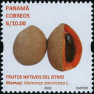 Mamey (Mammea americana) - Central America / Panama 2019 - 10