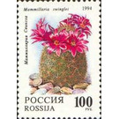 Mammillaria swinglei - Russia 1994 - 100