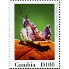 Mantodea - West Africa / Gambia 2020