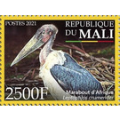 Marabou Stork (Leptoptilos crumenifer) - West Africa / Mali 2021