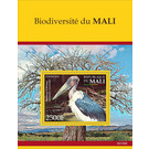 Marabou Stork (Leptoptilos crumenifer) - West Africa / Mali 2021