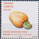 Maranon (Cashew Apple) - Central America / Panama 2019 - 0.25