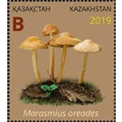 Marasmius oreades - Kazakhstan 2019