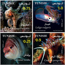 Marine biology in Tunisia - Tunisia 2021 Set