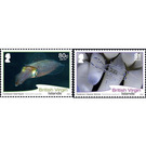 Marine Fauna - Caribbean / British Virgin Islands 2020 Set