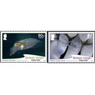 Marine Fauna - Caribbean / British Virgin Islands 2020 Set