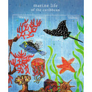 Marine life - Caribbean / Dominica 2013