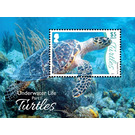 Marine Life Series I - Turtles - Caribbean / British Virgin Islands 2017