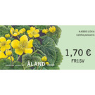 Marsh-marigold (Caltha palustris) - Åland Islands 2020