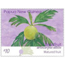 Mature Breadfruit - Melanesia / Papua and New Guinea / Papua New Guinea 2020 - 10