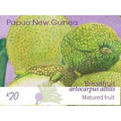 Mature Breadfruit - Melanesia / Papua and New Guinea / Papua New Guinea 2020 - 20