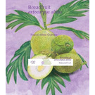 Mature Breadfruit - Melanesia / Papua and New Guinea / Papua New Guinea 2020