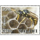 Mavu - East Africa / Malawi 2019 - 700